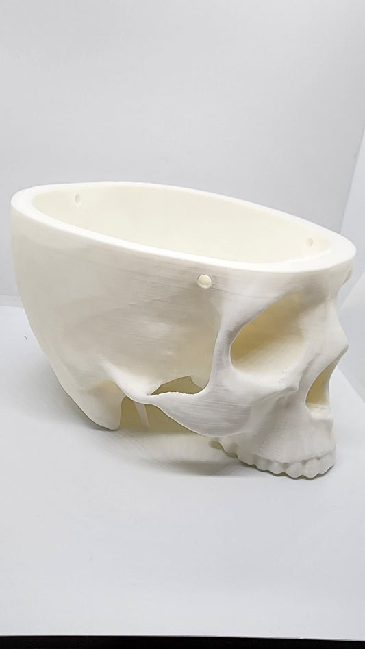 Hanging Skull Planter/ Bowl/ Decor